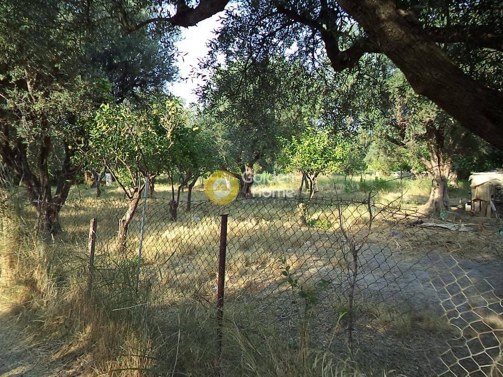 Εξωτερικός Χώρος