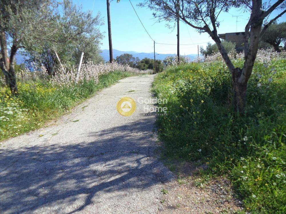 Εξωτερικός Χώρος