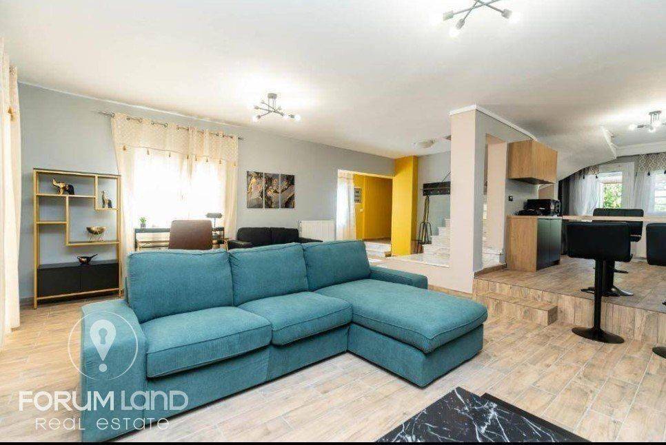 Forumland Real Estate, Σαλοκουζίνα