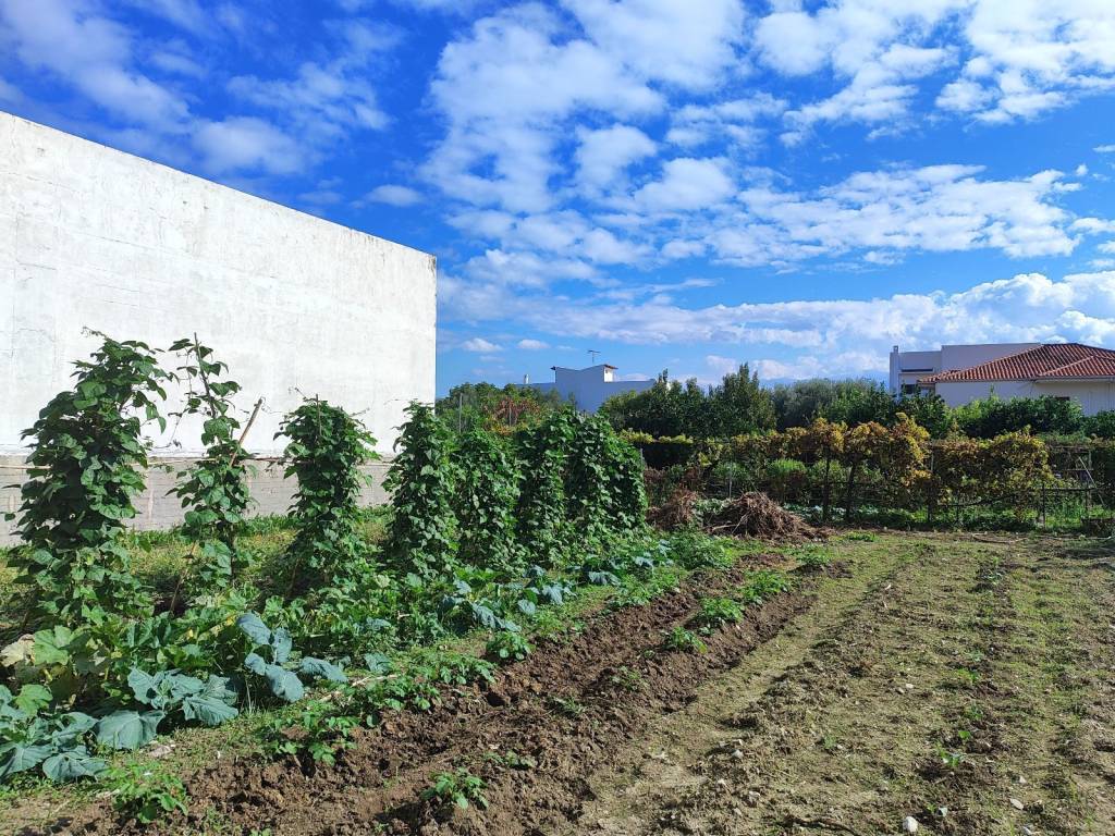 STEN PERIOCHE TES NAYPAKTOY