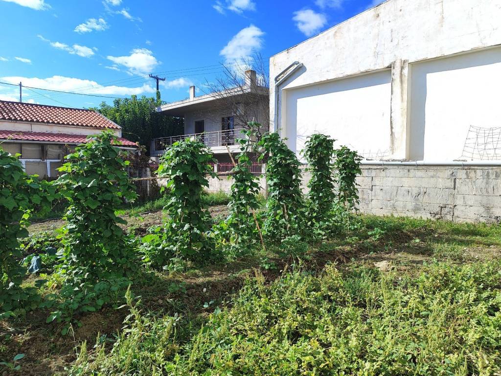 600 M. APO TE THALASSA