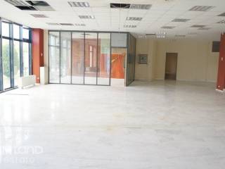 Forumland Real Estate, Επαγγελματικός χώρος