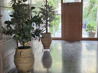 Εξωτερικοι χώροι