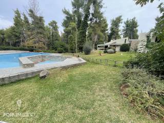 Forumland Real Estate, Pisina