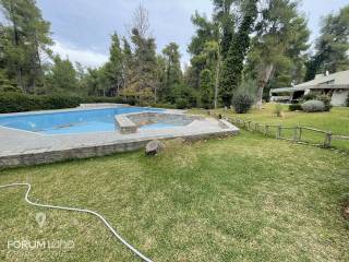 Forumland Real Estate, Pisina