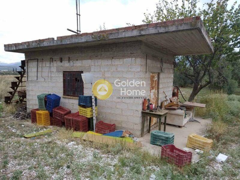 Ανελκυστήρας