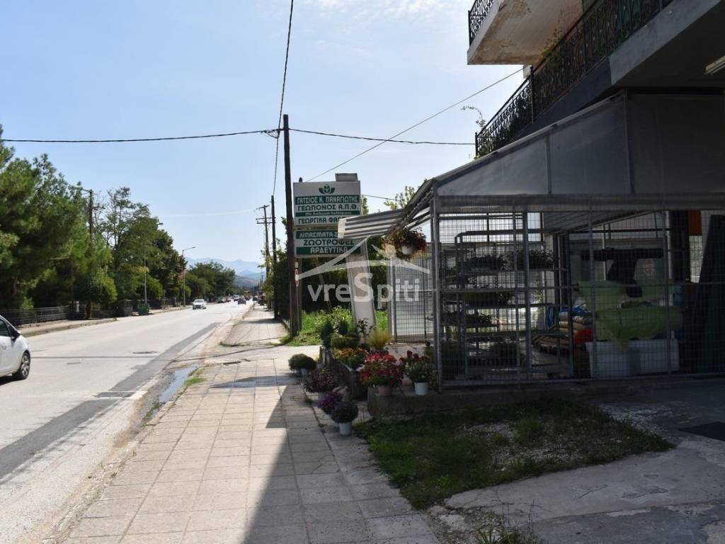 ΑΠΟΨΗ ΚΑΤΑΣΤΗΜΑΤΟΣ