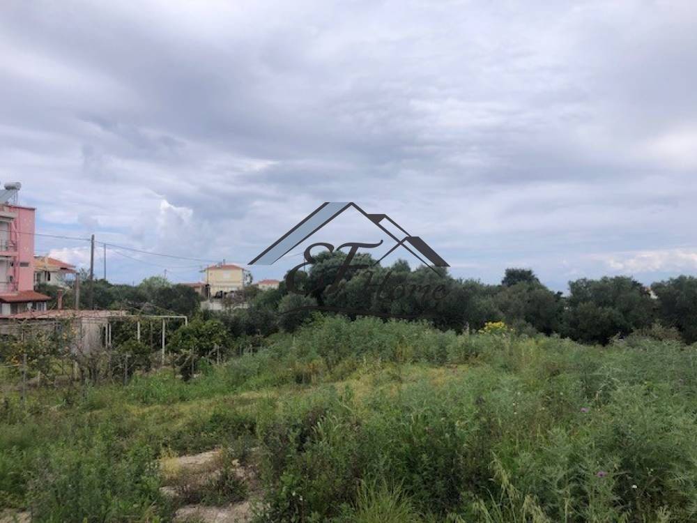 Άποψη Οικοπέδου