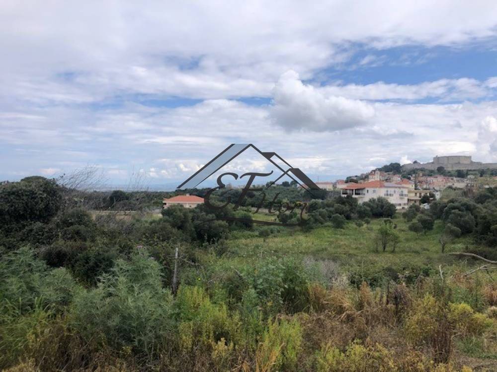 Άποψη Οικοπέδου