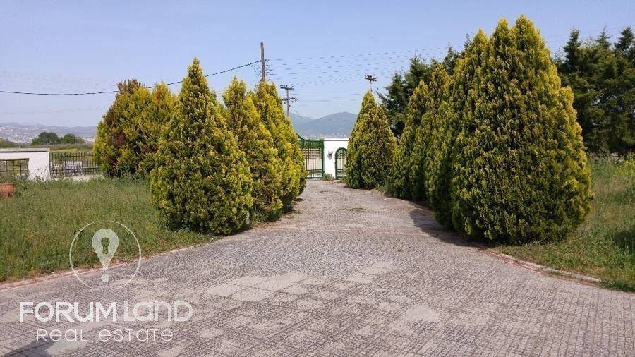 Forumland Real Estate, Καταπράσινο περιβάλλον