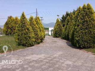 Forumland Real Estate, Καταπράσινο περιβάλλον