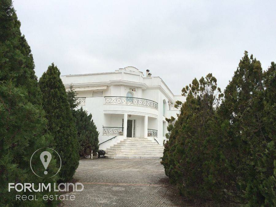 Forumland Real Estate, Εξωτερική Όψη