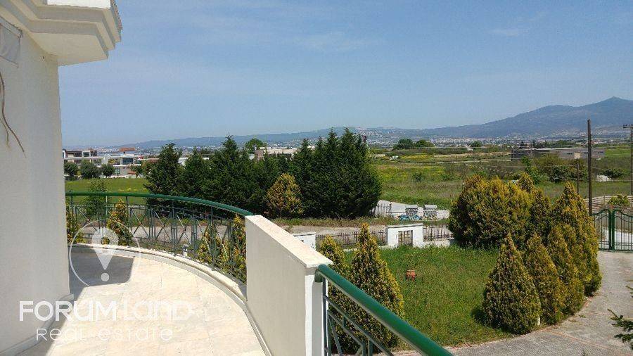 Forumland Real Estate, Βεράντες