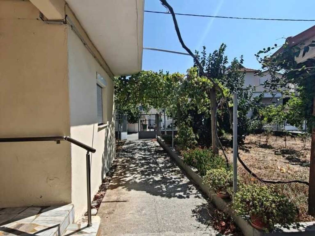 Detached - Grekodom 64499|1020965