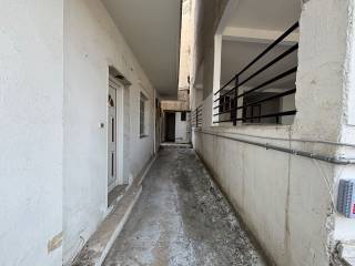 Eisodos tes polykatoikias, sto bathos o akalyptos.