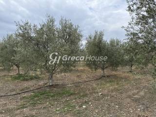 Οικοπεδο προς πώληση στην Θερμησία