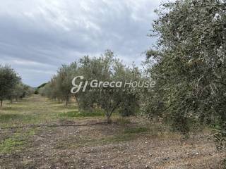 Οικοπεδο προς πώληση στην Θερμησία