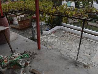 ΒΕΡΑΝΤΑ -ΑΥΛΗ