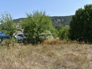 ΑΠΟΨΗ ΑΓΡΟΤΕΜΑΧΙΟΥ