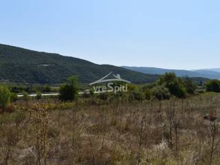 ΑΠΟΨΗ ΑΓΡΟΤΕΜΑΧΙΟΥ