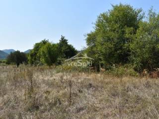 ΑΠΟΨΗ ΑΓΡΟΤΕΜΑΧΙΟΥ