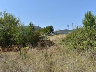 ΑΠΟΨΗ ΑΓΡΟΤΕΜΑΧΙΟΥ