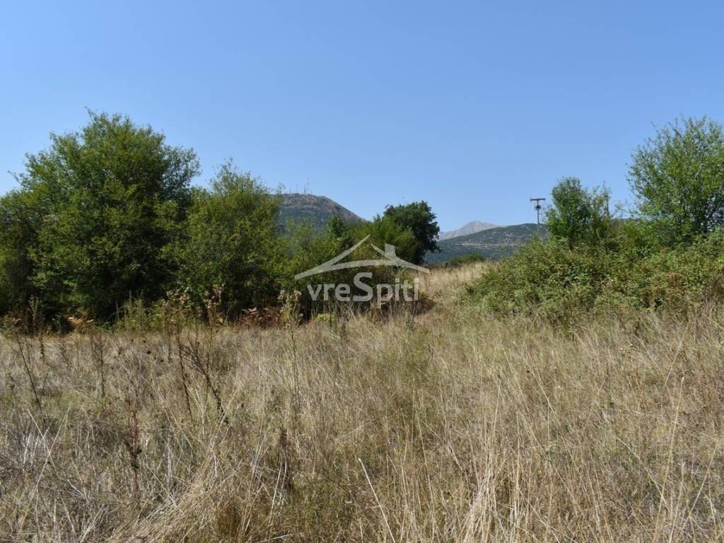 ΑΠΟΨΗ ΑΓΡΟΤΕΜΑΧΙΟΥ