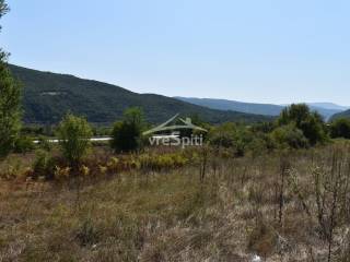 ΑΠΟΨΗ ΑΓΡΟΤΕΜΑΧΙΟΥ