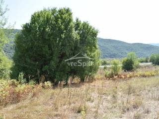 ΑΠΟΨΗ ΑΓΡΟΤΕΜΑΧΙΟΥ