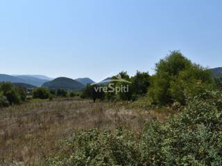 ΑΠΟΨΗ ΑΓΡΟΤΕΜΑΧΙΟΥ