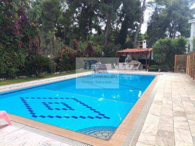 SWIMMING POOL - GARDEN WITH BBQ