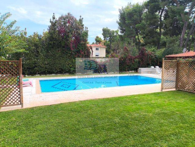 SWIMMING POOL - GARDEN