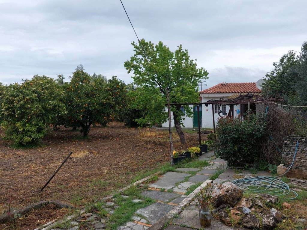 ανεξάρτητος οικίσκος 40τμ