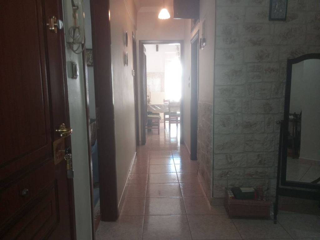 CHoros choll syndeei koyzina saloni