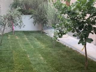 Forumland Real Estate, Κήπος