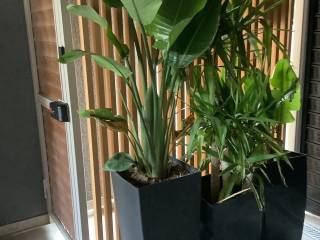 Forumland Real Estate, Είσοδος