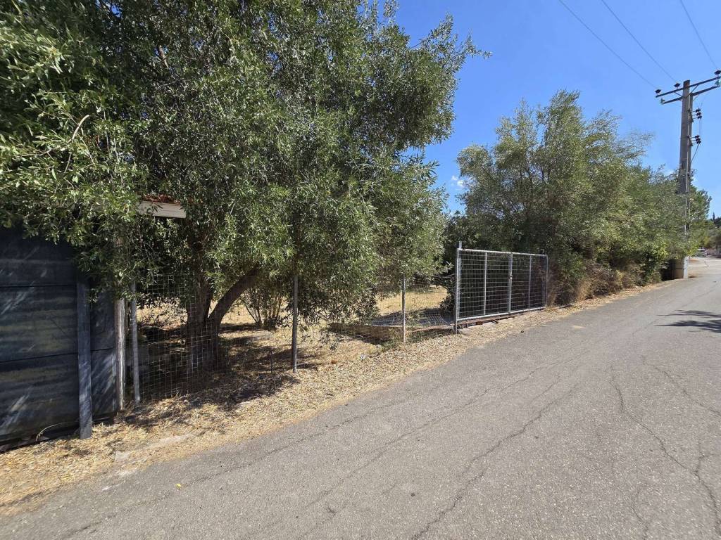 Εξωτερικοι χώροι