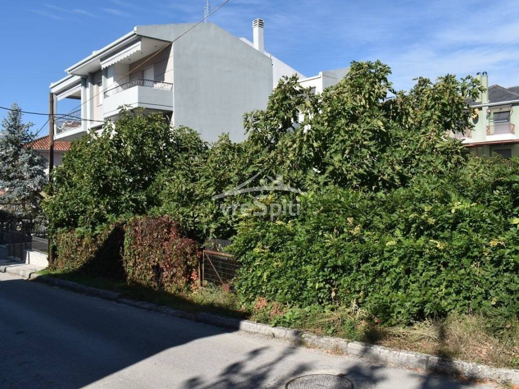 ΑΠΟΨΗ ΟΙΚΟΠΕΔΟΥ