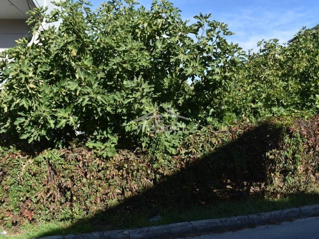 ΑΠΟΨΗ ΟΙΚΟΠΕΔΟΥ