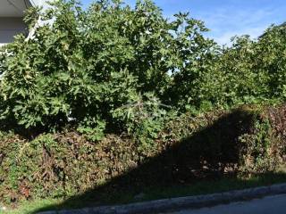 ΑΠΟΨΗ ΟΙΚΟΠΕΔΟΥ