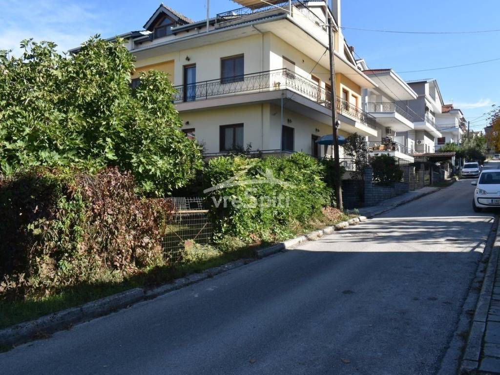 ΑΠΟΨΗ ΟΙΚΟΠΕΔΟΥ