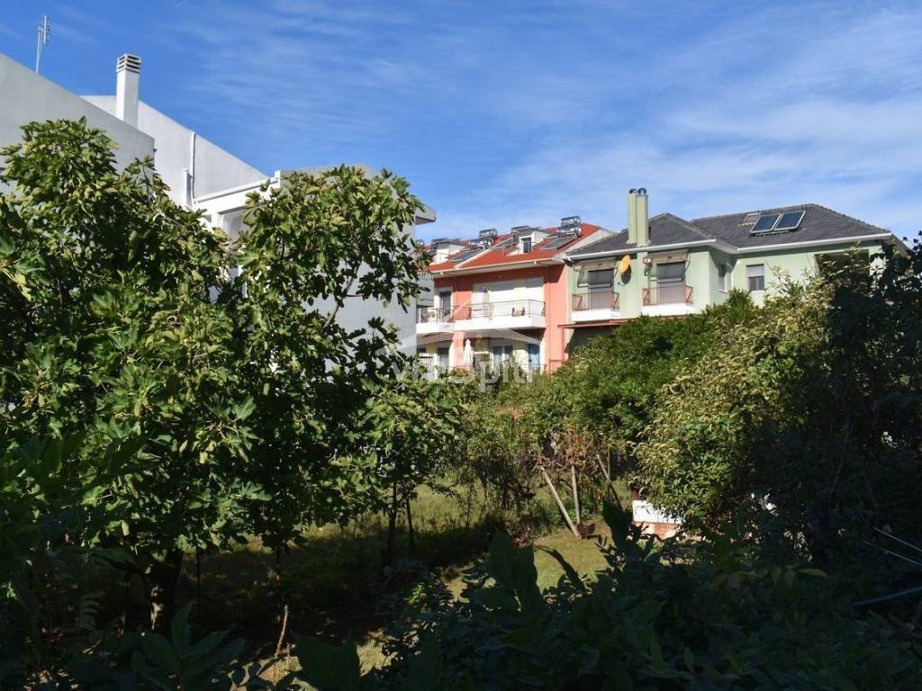 ΑΠΟΨΗ ΟΙΚΟΠΕΔΟΥ