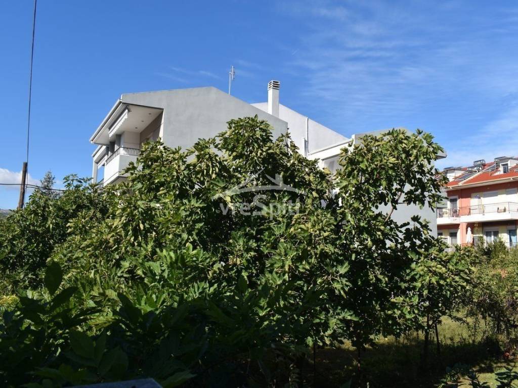 ΑΠΟΨΗ ΟΙΚΟΠΕΔΟΥ