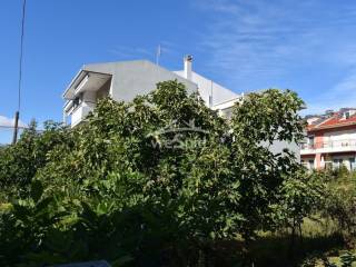 ΑΠΟΨΗ ΟΙΚΟΠΕΔΟΥ