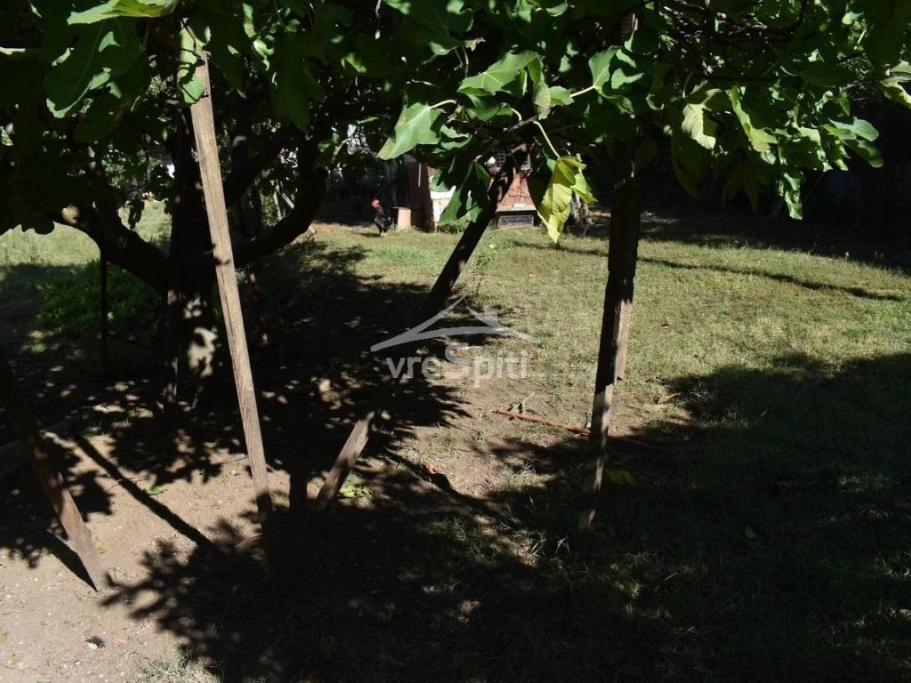 ΑΠΟΨΗ ΟΙΚΟΠΕΔΟΥ