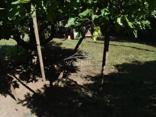 ΑΠΟΨΗ ΟΙΚΟΠΕΔΟΥ