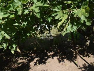 ΑΠΟΨΗ ΟΙΚΟΠΕΔΟΥ