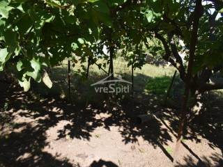 ΑΠΟΨΗ ΟΙΚΟΠΕΔΟΥ