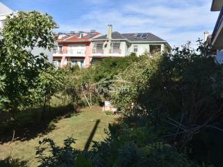 ΑΠΟΨΗ ΟΙΚΟΠΕΔΟΥ