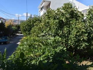 ΑΠΟΨΗ ΟΙΚΟΠΕΔΟΥ